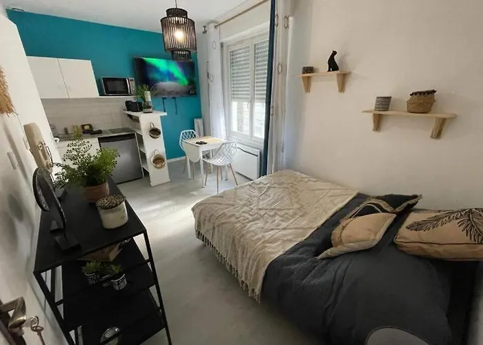 Apartment Le Sano - Centre - Wifi *